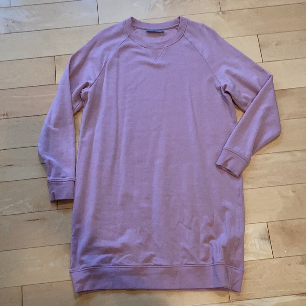Perfect condition Icebreaker sweater dress